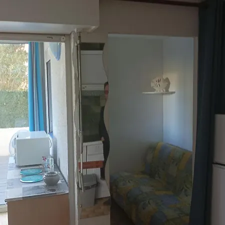 Lara 6 - Grand T2 Terrasse Loggia - Wc Indep - Parking - Quartier Calme Entre Centre-port Et Ile Des Loisirs Richelieu Apartment Agde